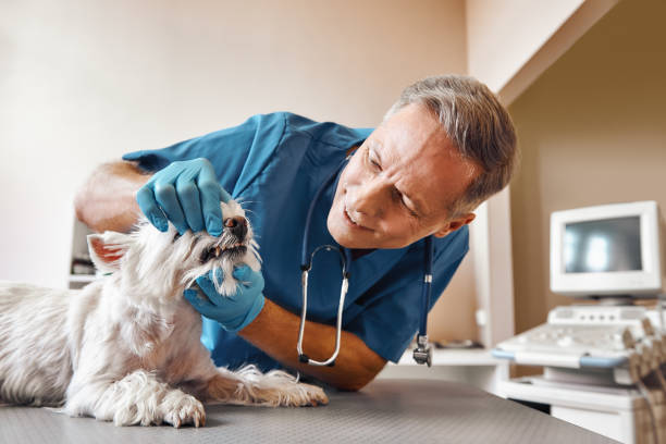 Best Emergency Wisdom Tooth Extraction in Garden Plain, KS